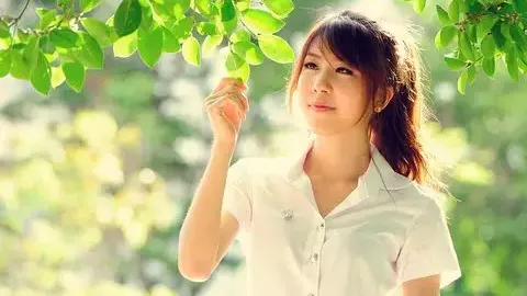 油气电网络