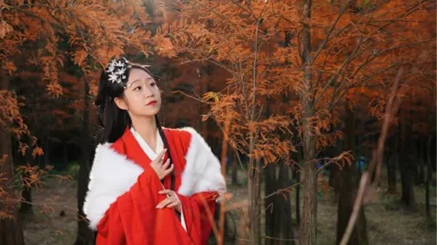 马斯克薪酬