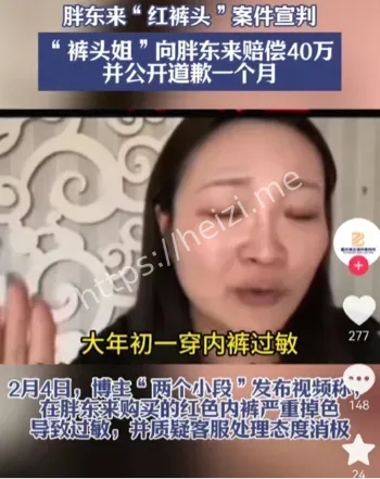 网络言论