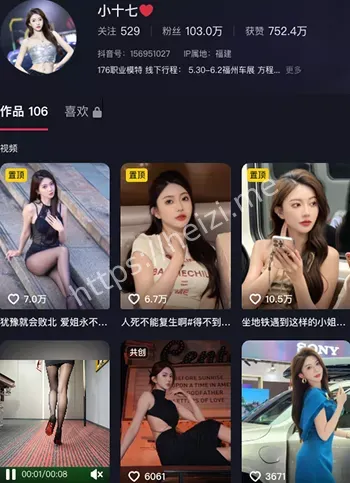 小十七