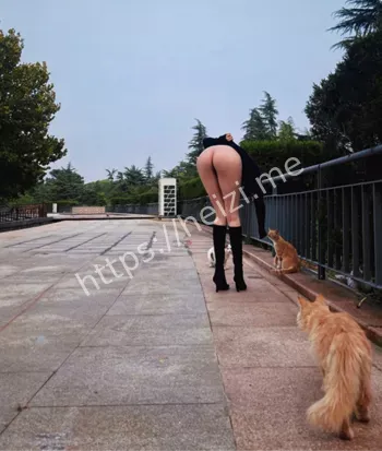 狗仔爆料