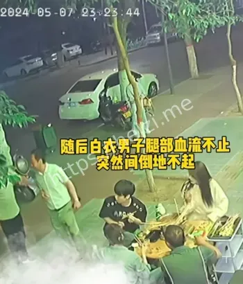 大动脉