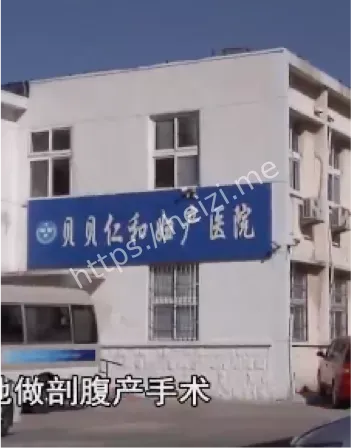 转诊单