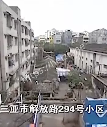 逼婚事件