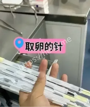 黑子网热议