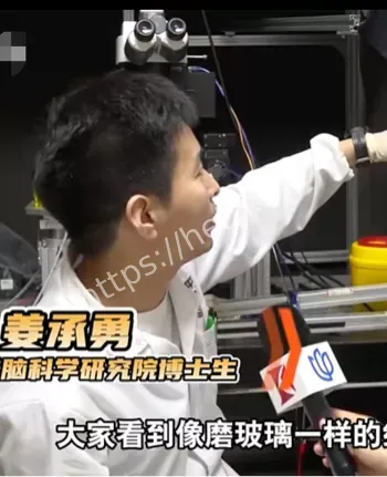 复旦大学