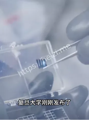 未来可期
