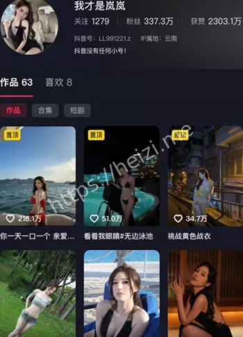 我才是岚岚