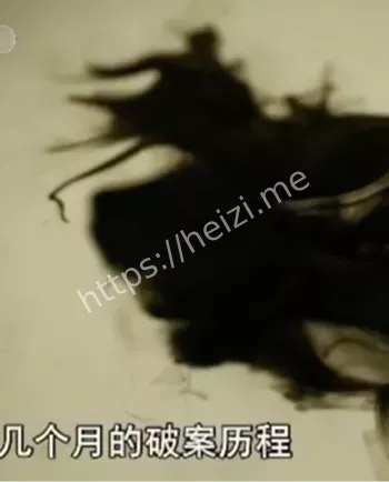 申苗苗
