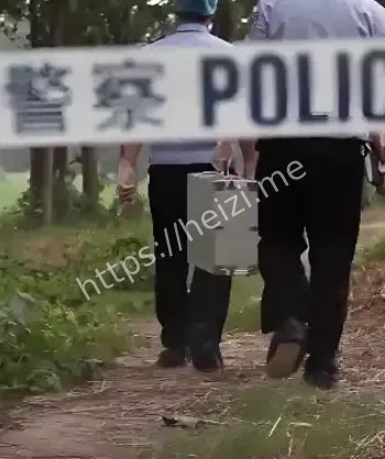 河南太康