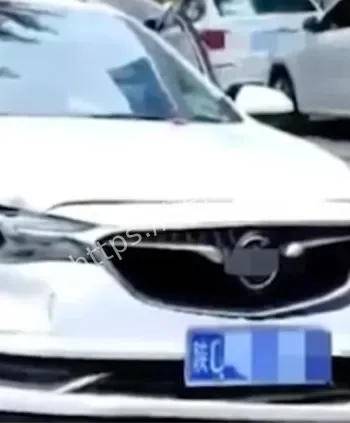 张春凤