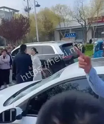 惊呆网友