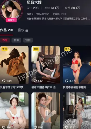 极品大嫂