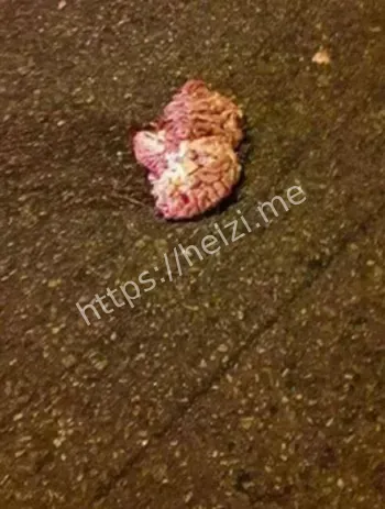 过失致死