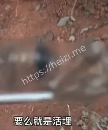 电诈
