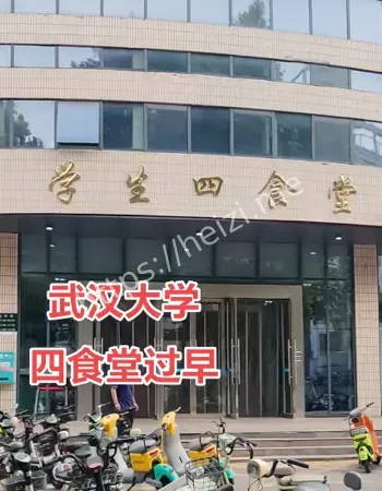 朱湛