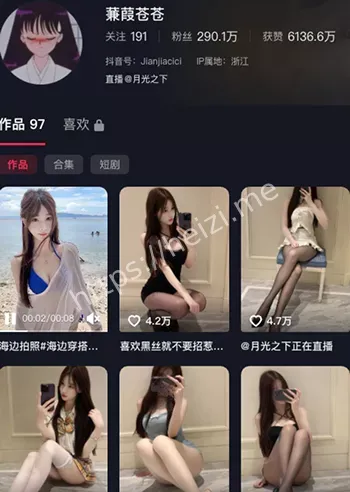 蒹葭苍苍