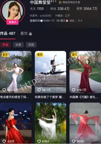 中国舞莹莹