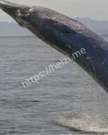 深海探险