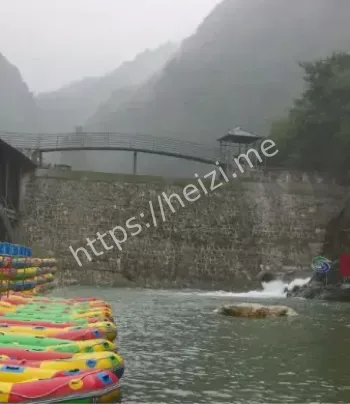投资者质问