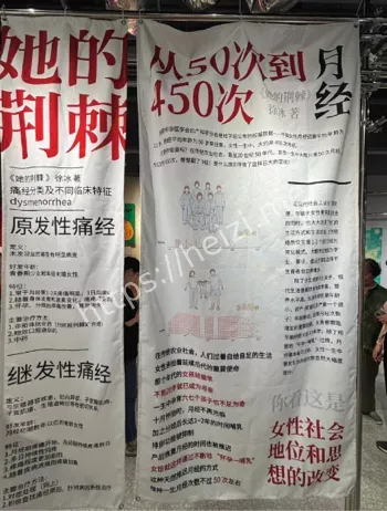 女性生理知识