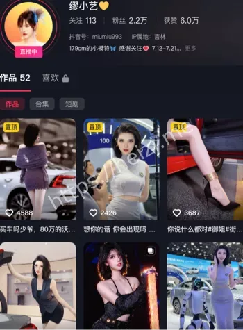 车模网红