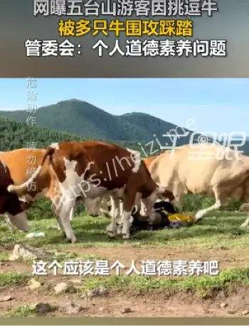 挑逗