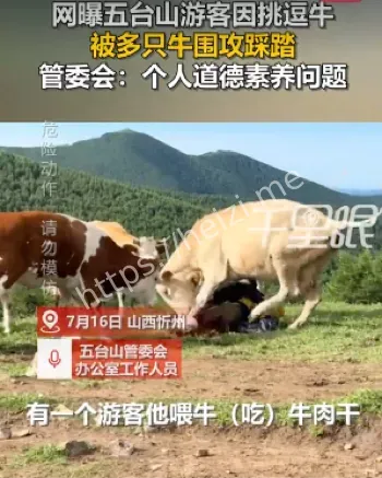 反击