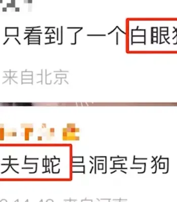 芮芮是iris