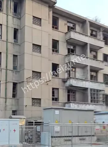 离奇死亡