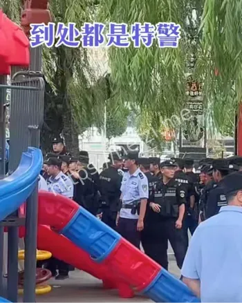 树拍易购