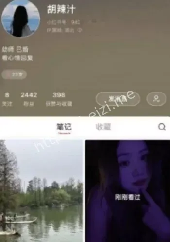 胡辣汁
