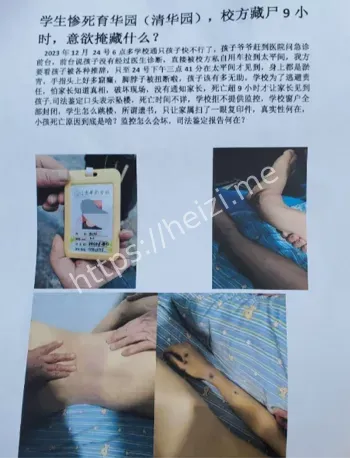 杨刘洋