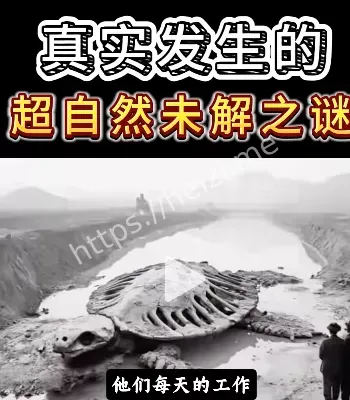 未解之谜