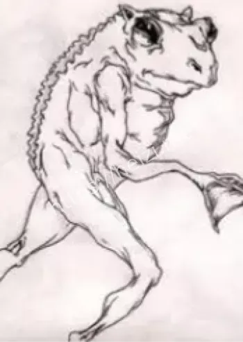 神秘生物袭击