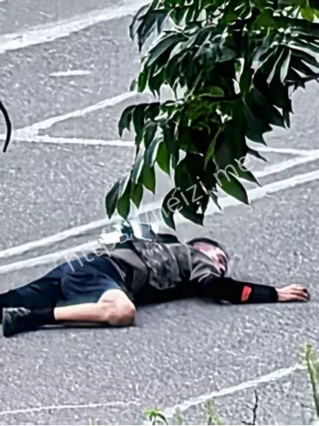 堵路维权