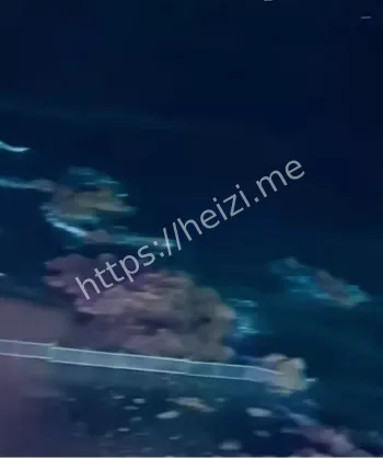 父爱感动