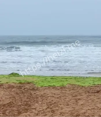 海滩安全