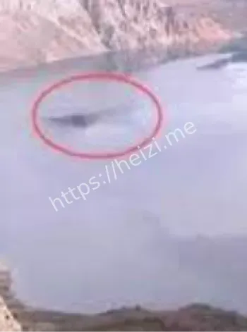 水怪目击