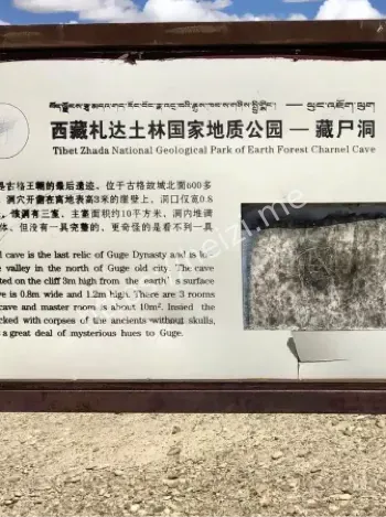 考古发掘