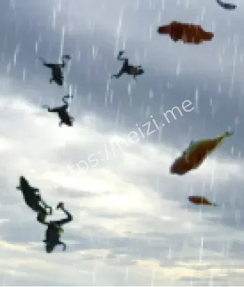 动物雨