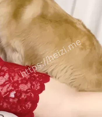 甜美可人