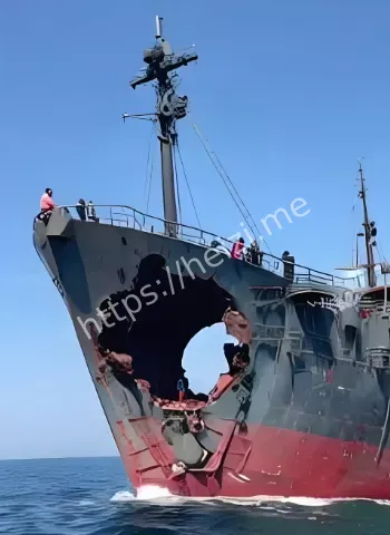 东海奇案
