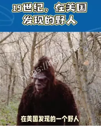 史前遗种