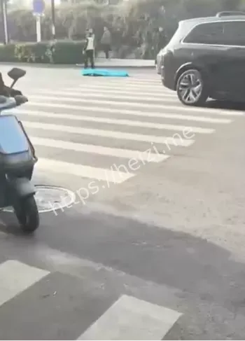 交通规则