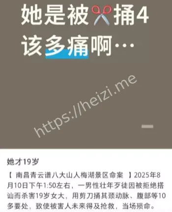 精神病史