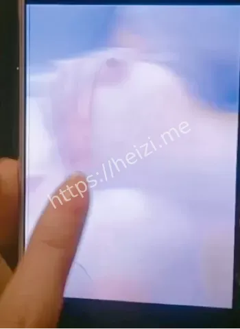 央视主持人