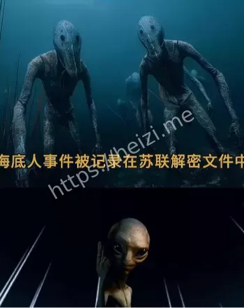 宁根传闻