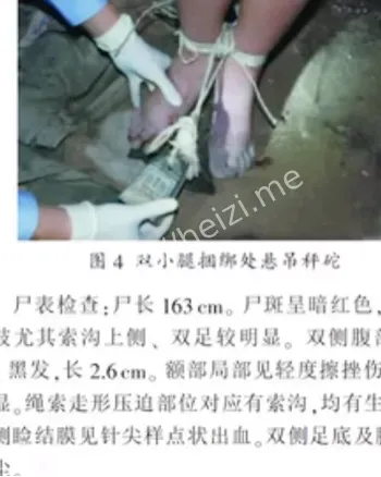 案件真相