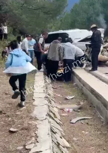 林芝车祸